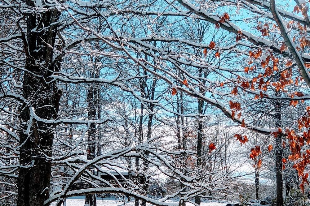 Photo of Outdoor in The Blue Mountains