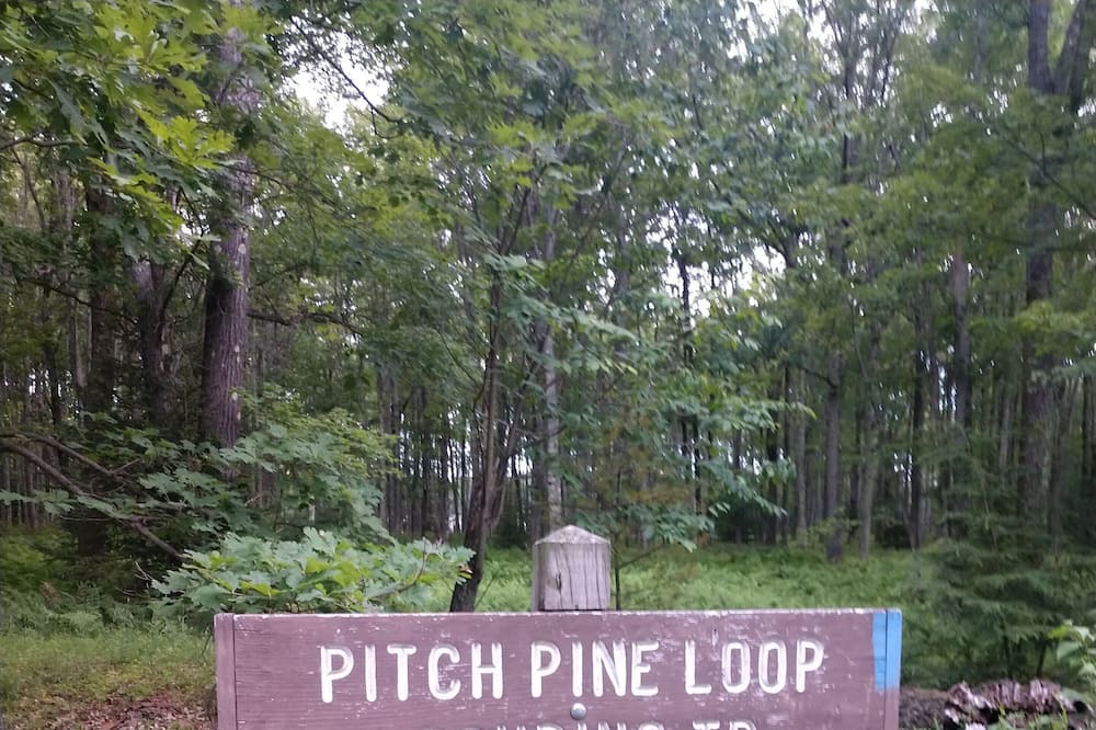 Photo of Outdoor in Lock Haven