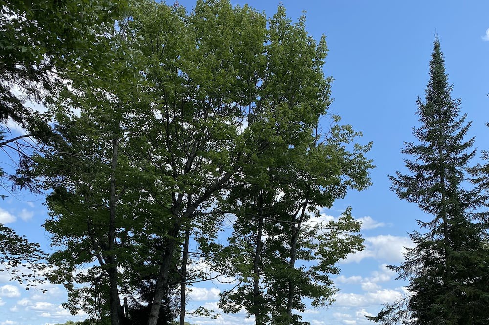 Photo of Outdoor in Katrine