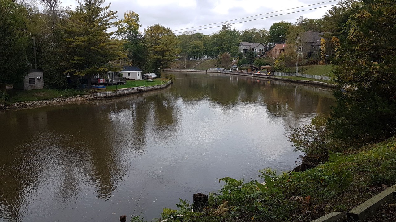 Photo of Outdoor in Wasaga Beach