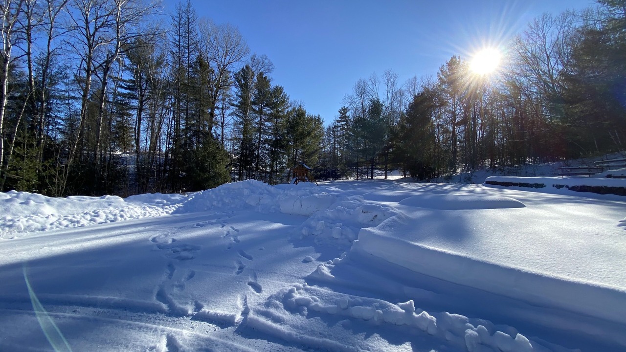 Photo of Others in Bancroft