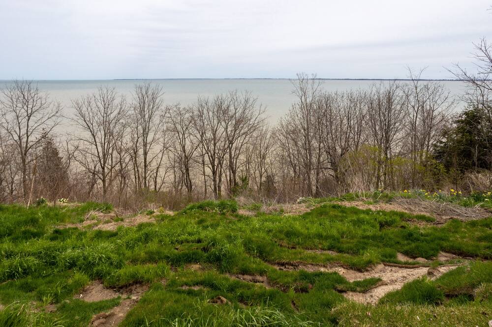 Photo of Outdoor in St. Williams