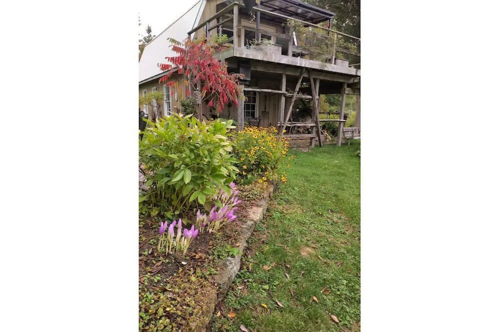 Photo of Outdoor in King