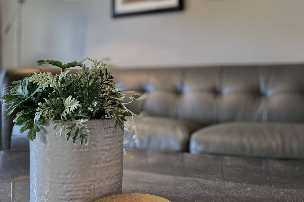 Photo of Livingroom in Hamilton