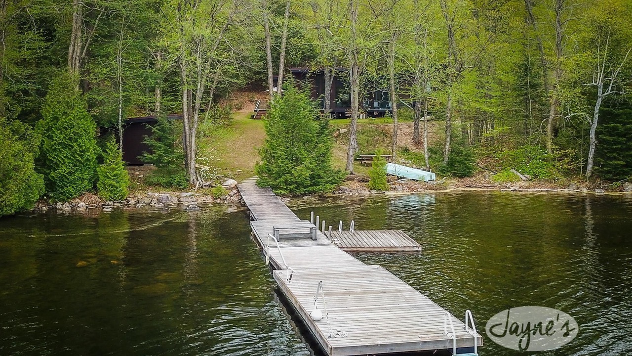 Photo of Outdoor in Algonquin Highlands