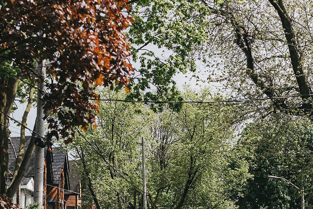 Photo of Outdoor in Parkdale