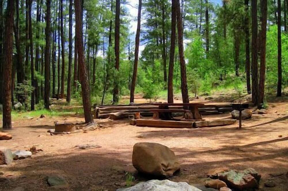 Photo of Others in Kohls Ranch