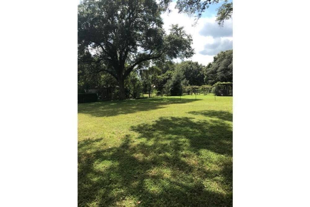 Photo of Outdoor in Auburndale