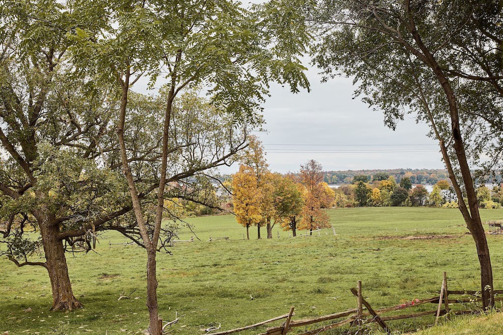 Photo of Outdoor in Waupoos