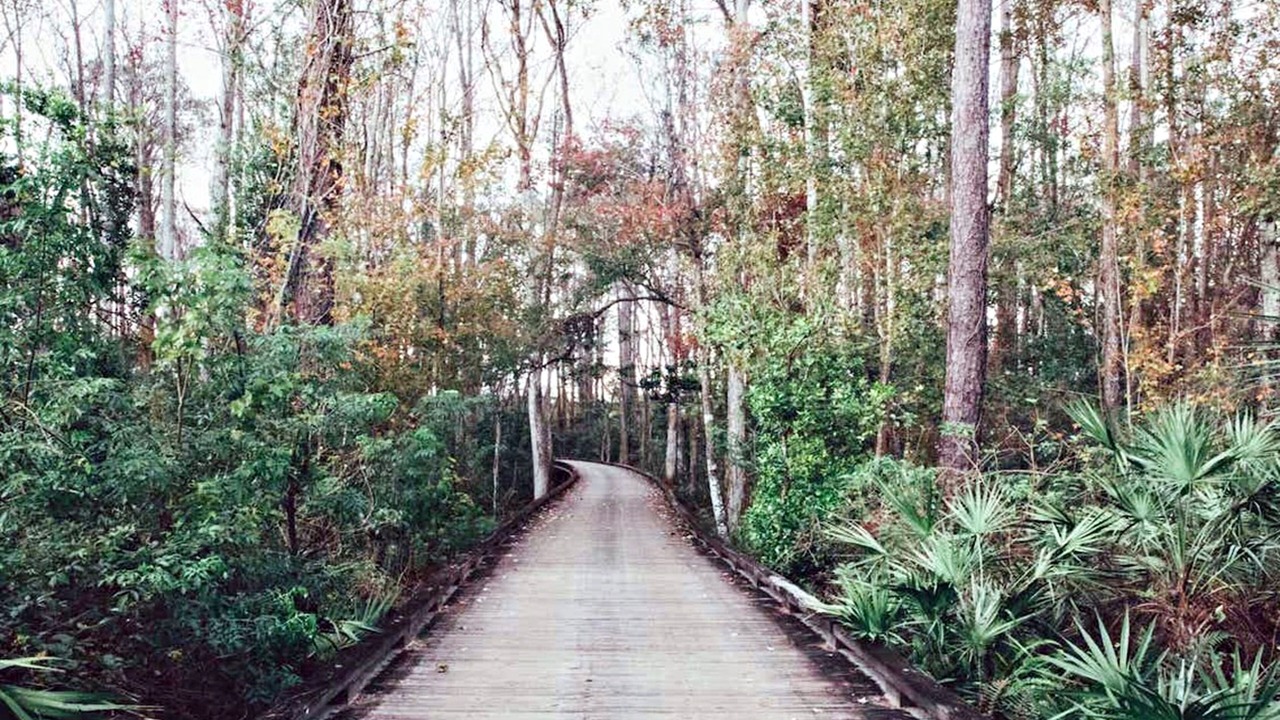 Photo of Outdoor in Orange Lake