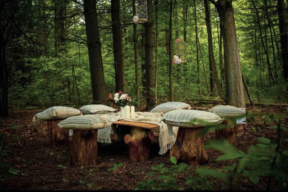 Photo of Outdoor in Hamilton