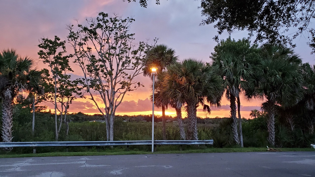 Photo of Outdoor in Fairgreen