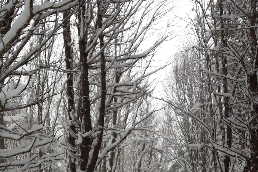 Photo of Others in St. Charles