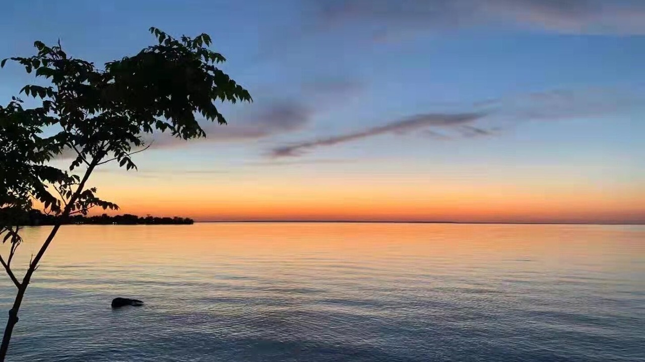Photo of Others in Georgina