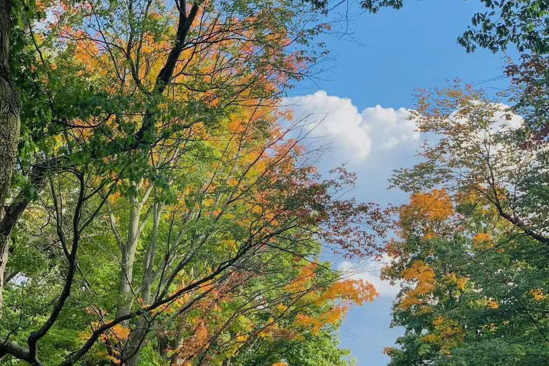 Photo of Outdoor in Georgina