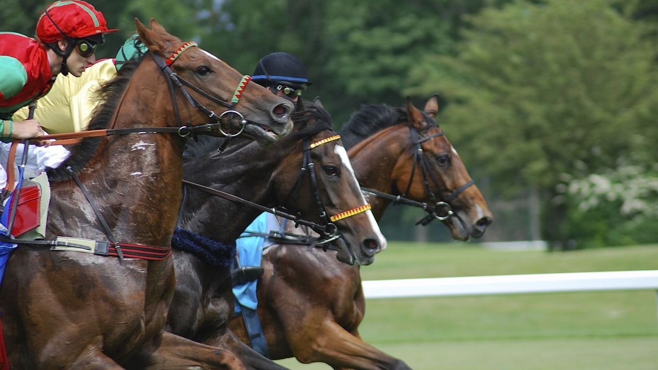 Photo of Others in Auteuil