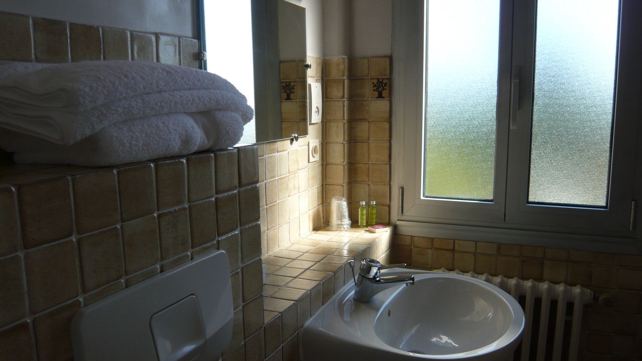 Photo of Bathroom in Le Blanc-Mesnil