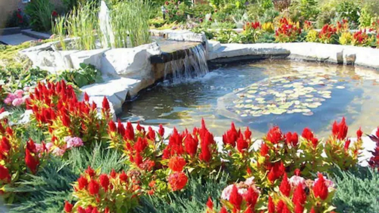 Photo of Outdoor in York Regional Municipality