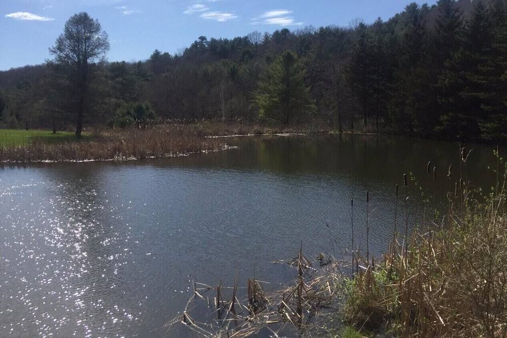 Photo of Others in Franklin