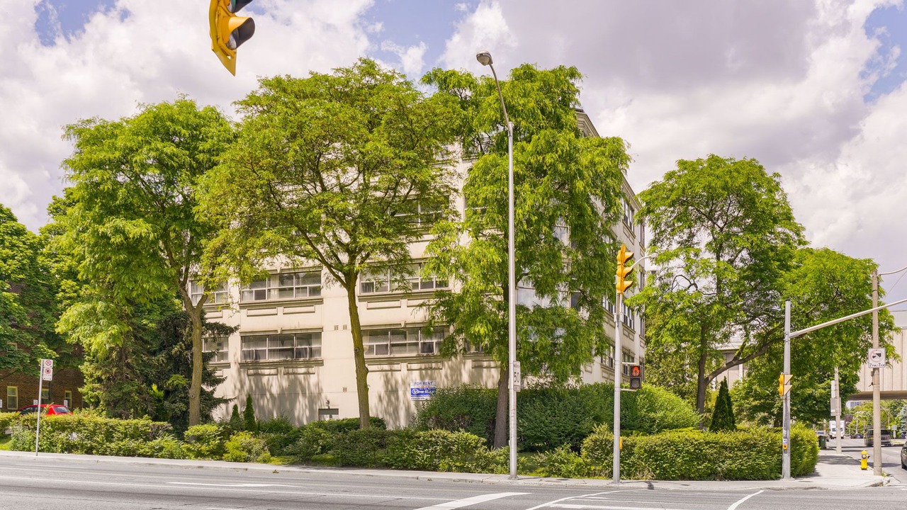 Photo of Outdoor in High Park North