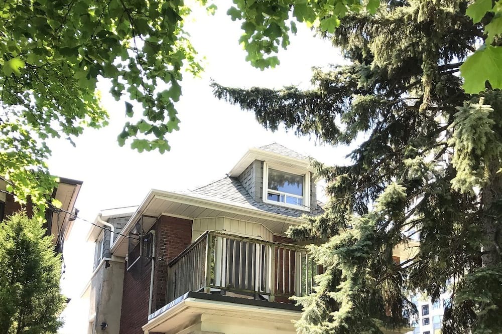 Photo of Outdoor in High Park North