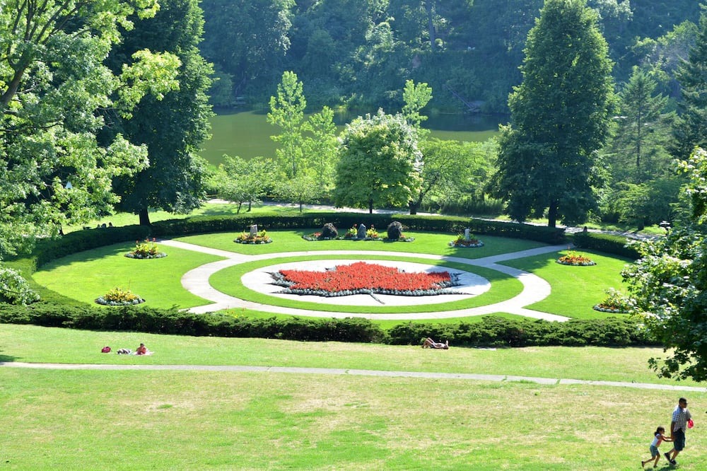 Photo of Others in High Park North