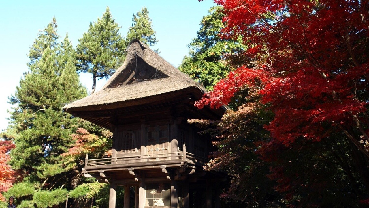 Photo of Outdoor in Niiza