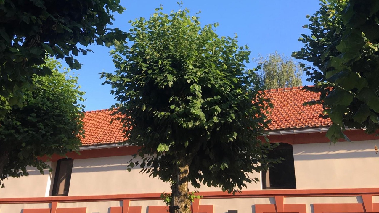 Photo of Outdoor in Pomponne