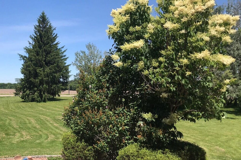 Photo of Outdoor in Middlesex Centre