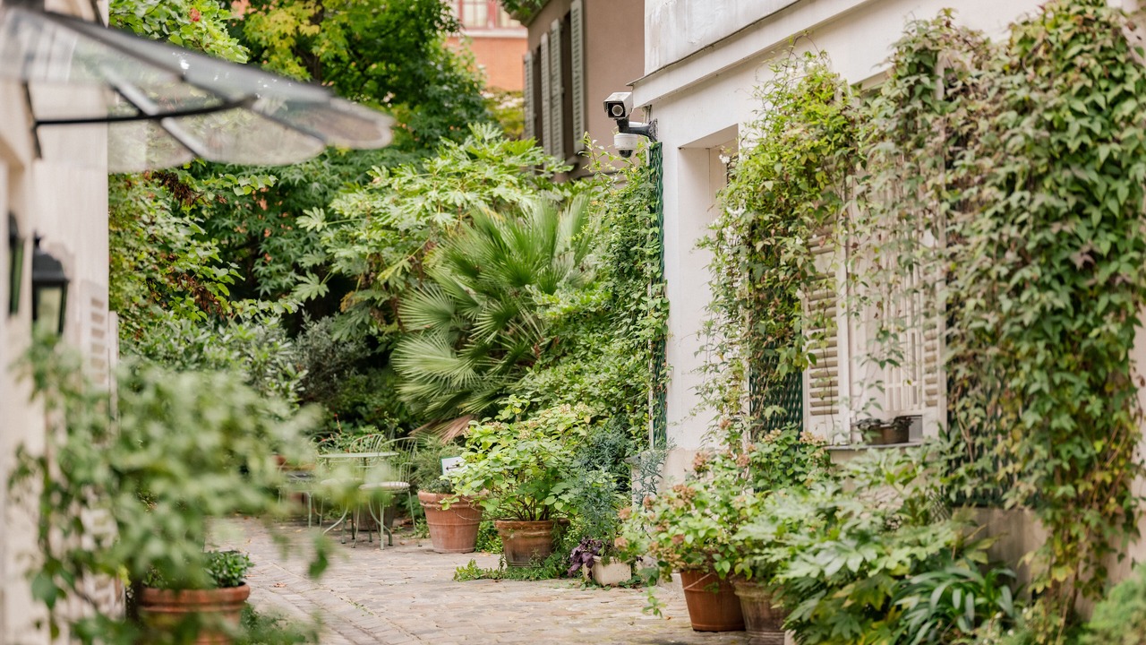 Photo of Outdoor in 5th Arrondissement