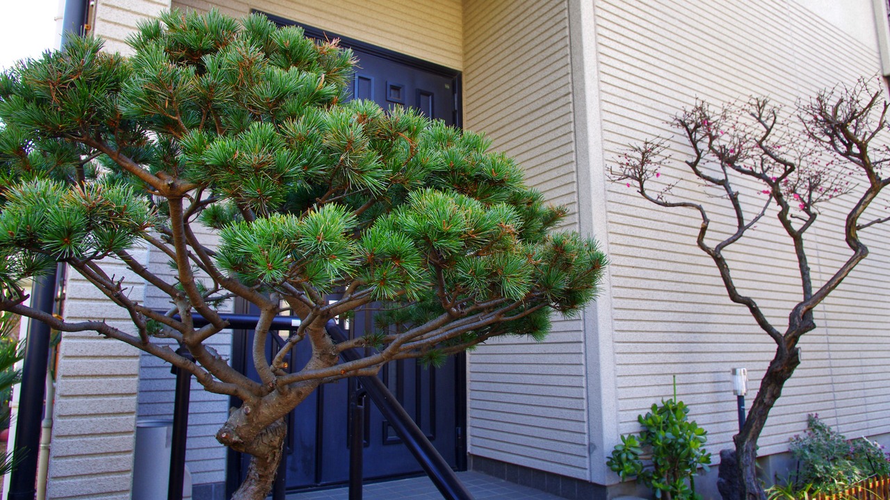 Photo of Outdoor in Adachi