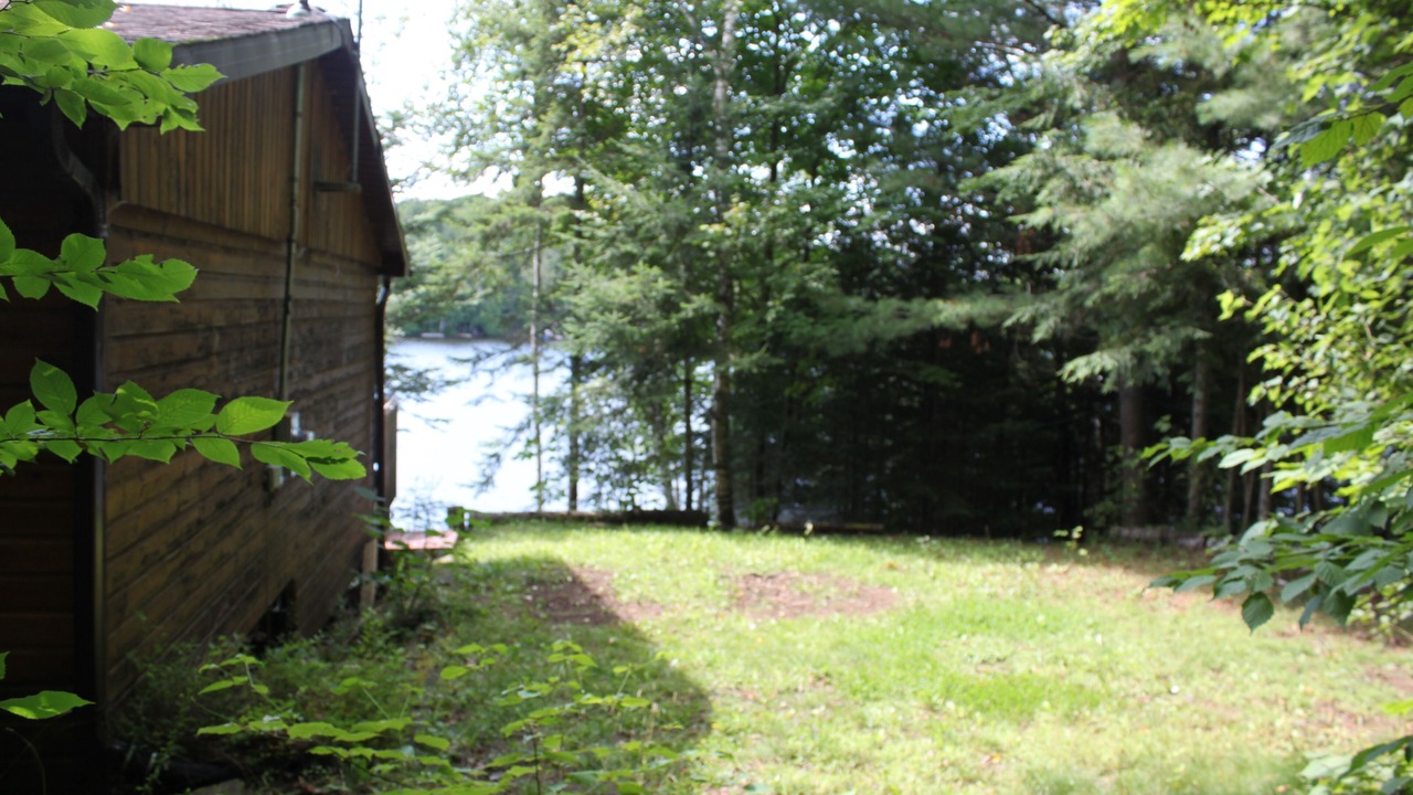 Photo of Outdoor in Harcourt
