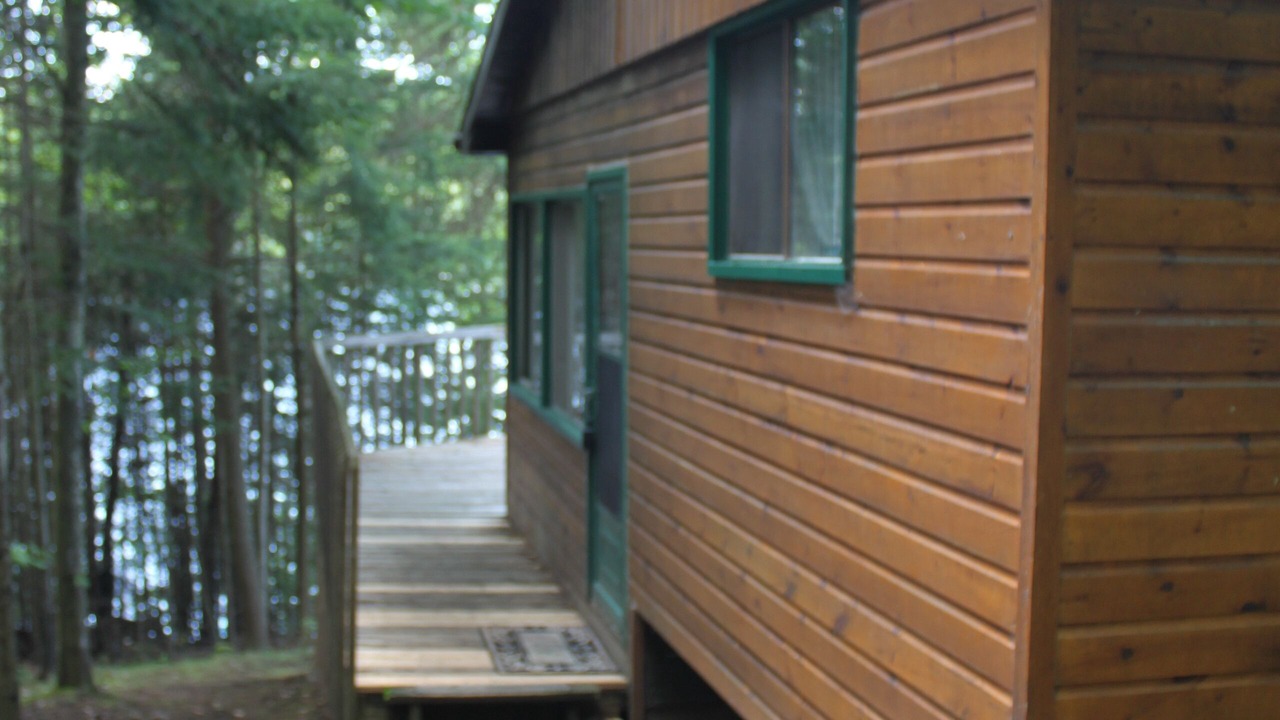 Photo of Outdoor in Harcourt