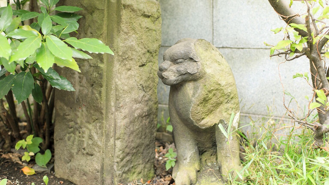 Photo of Outdoor in Shiba