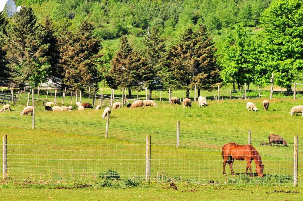 Photo of Others in Waterville