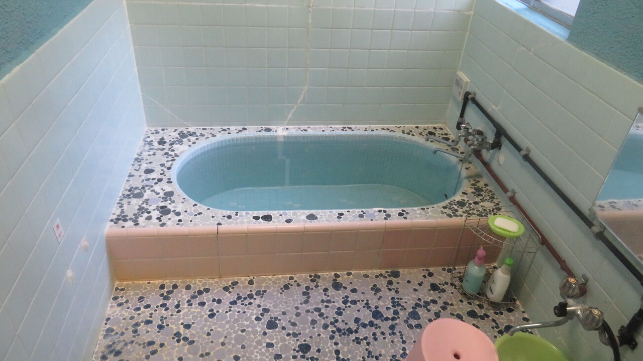 Photo of Bathroom in Oshima
