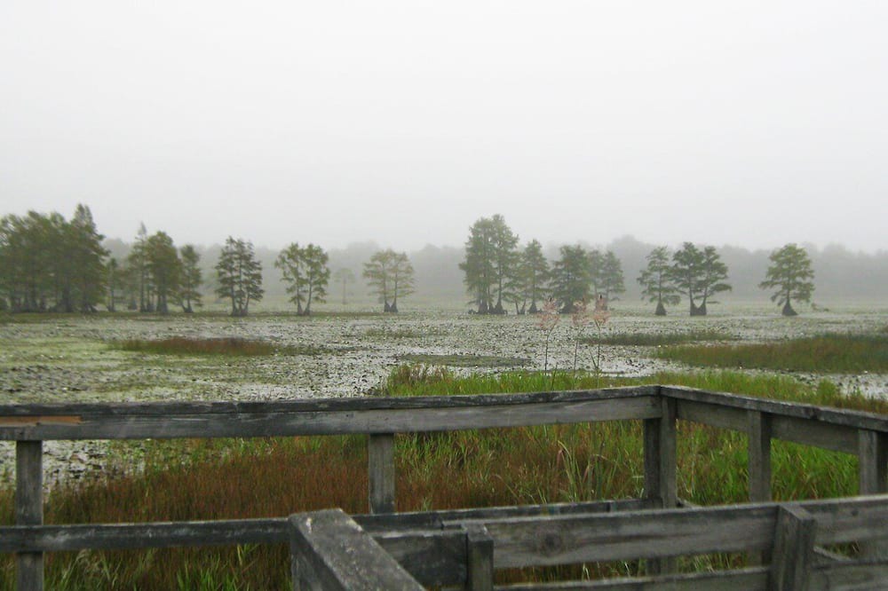 Photo of Others in Abita Springs