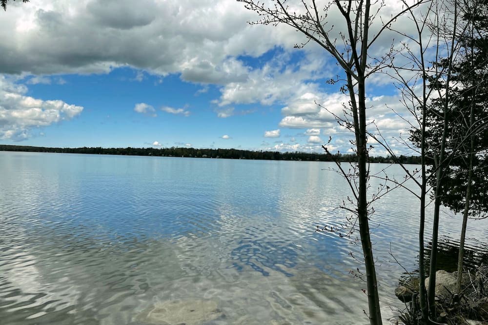 Photo of Others in Oro-Medonte