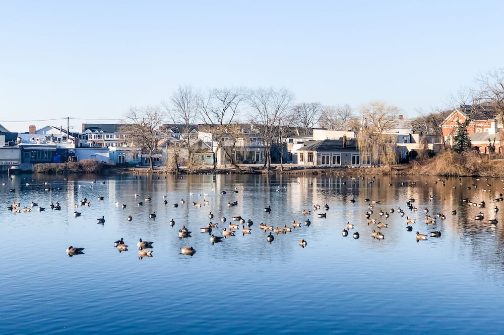 Photo of Outdoor in Roslyn