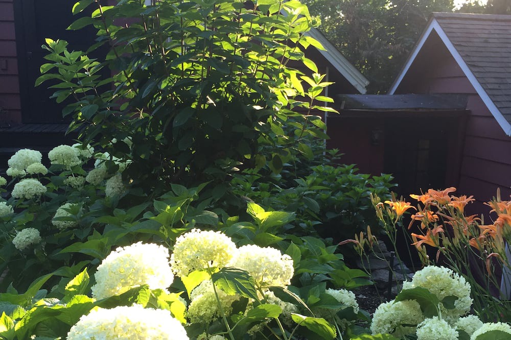 Photo of Outdoor in Roslyn