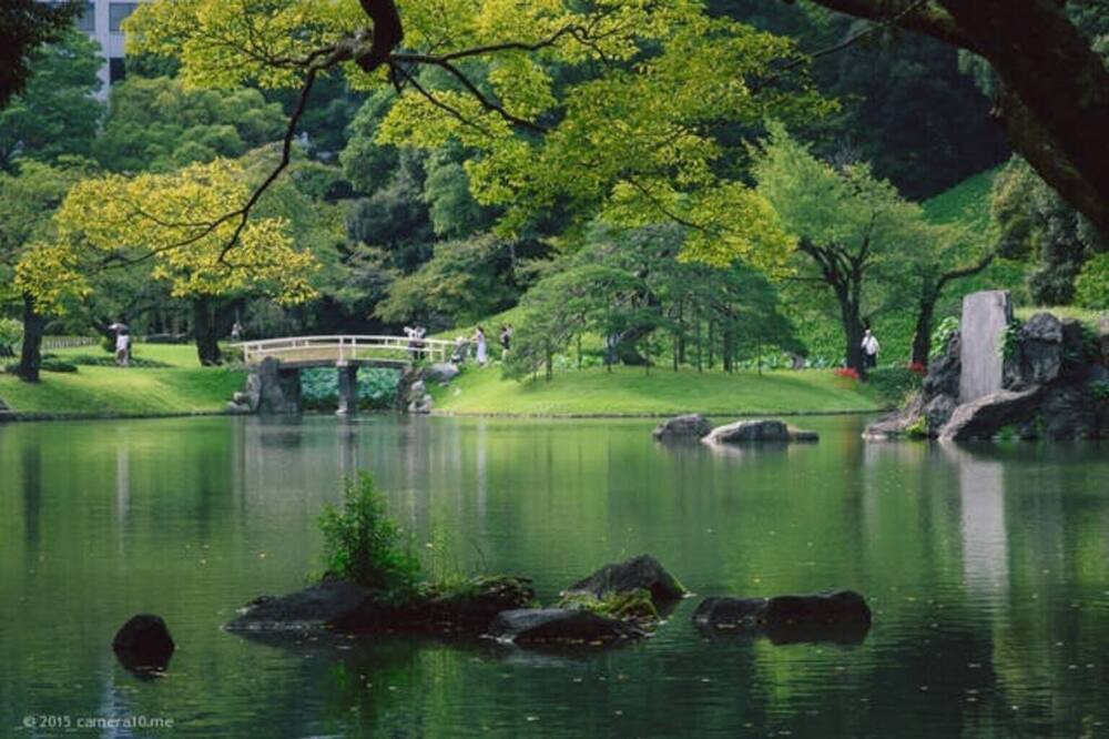 Photo of Outdoor in Bunkyo