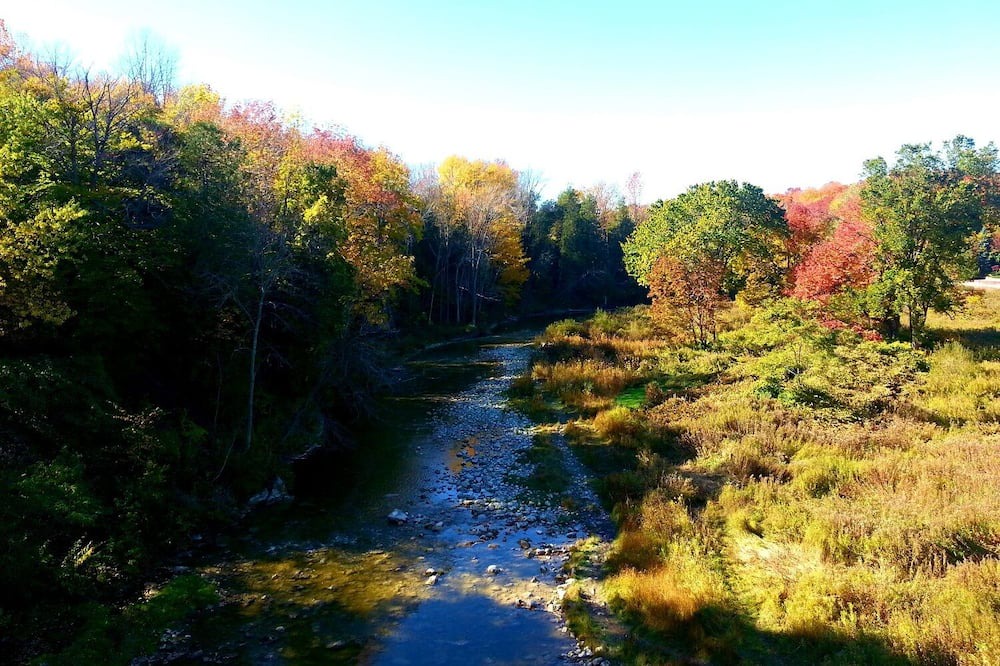 Photo of Outdoor in Port Albert