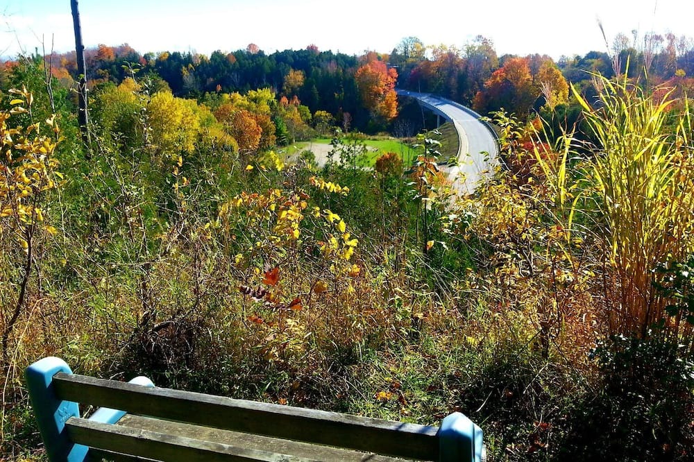 Photo of Outdoor in Port Albert
