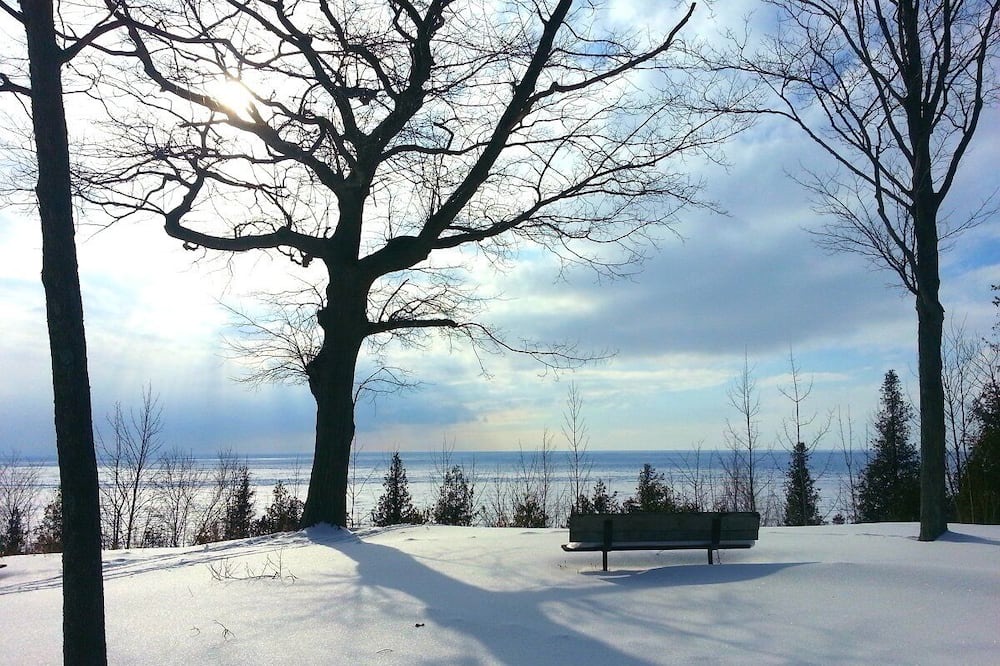 Photo of Others in Port Albert