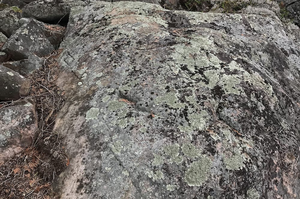 Photo of Outdoor in Pointe au Baril