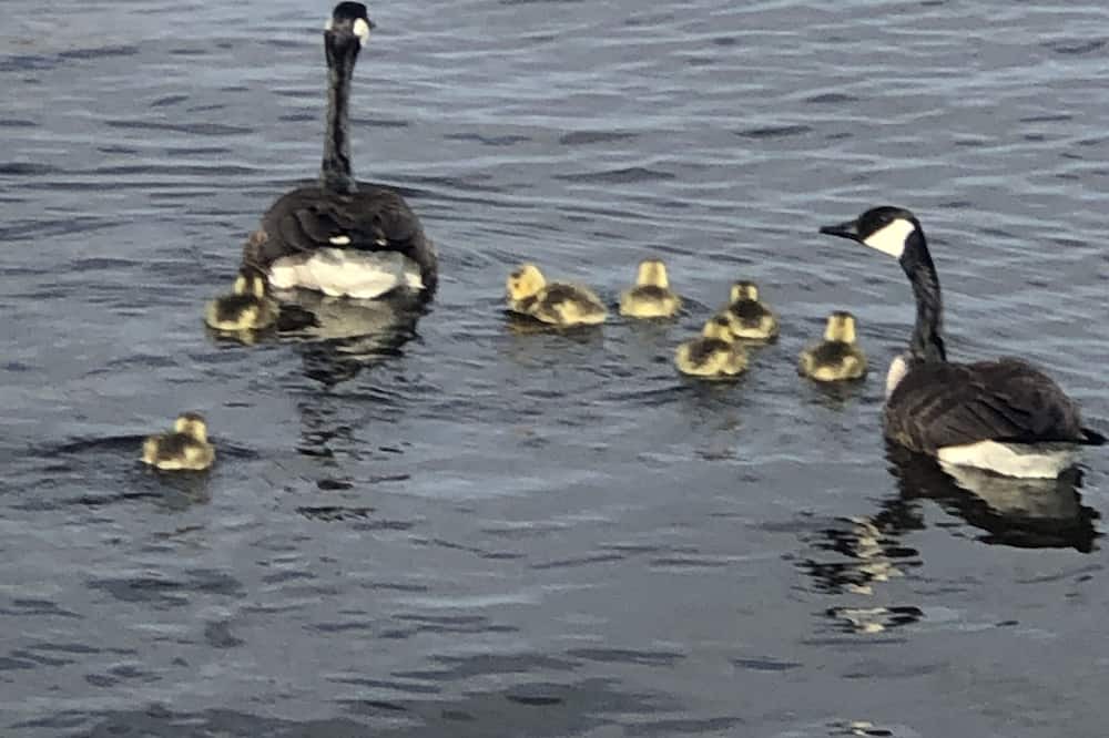 Photo of Others in Lagoon City