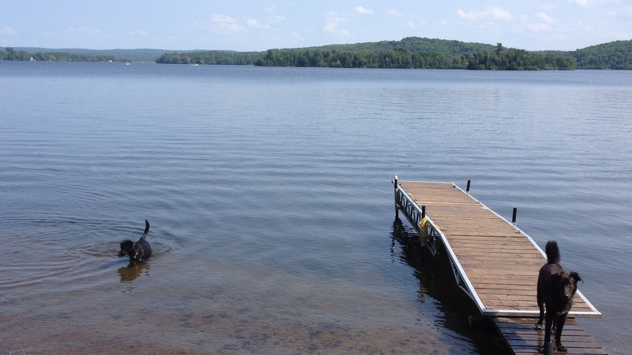 Photo of Others in East Ferris