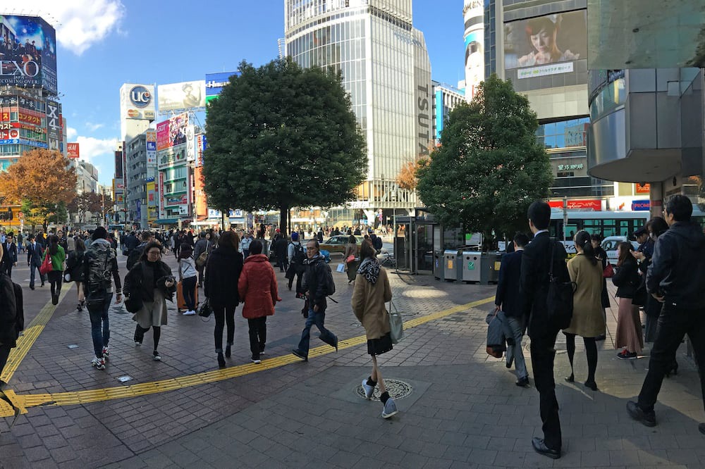 Photo of Others in Udagawacho