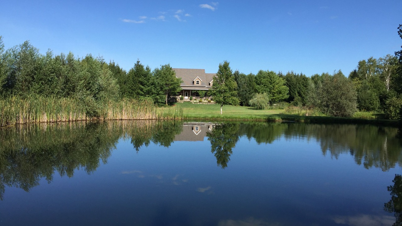 Photo of Outdoor in Melancthon