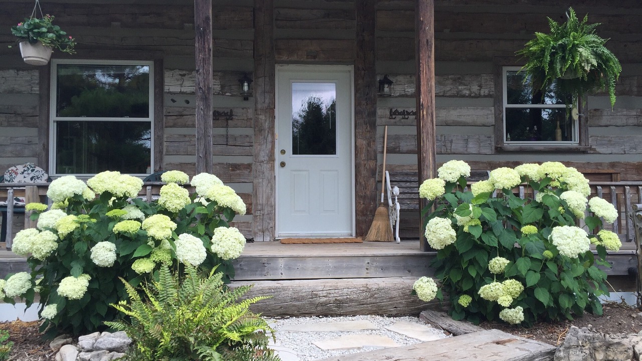 Photo of Outdoor in Melancthon